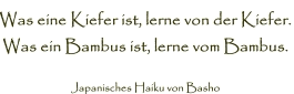 Was eine Kiefer ist, lerne von der Kiefer. Was ein Bambus ist, lerne vom Bambus.